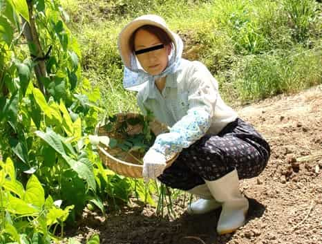 働く地方のお母さん 農業を営む未亡人 前編 西岡紗希